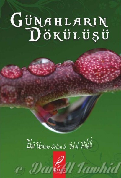 Gunahlarin dokulusu