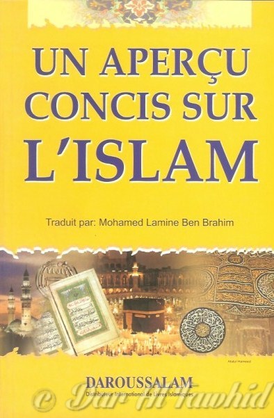 un aperçu concis sur l'islam