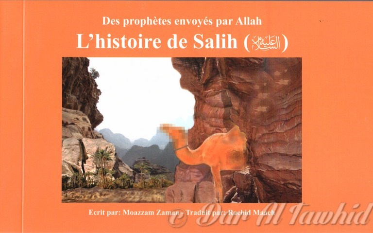 L'Histoire de Salih