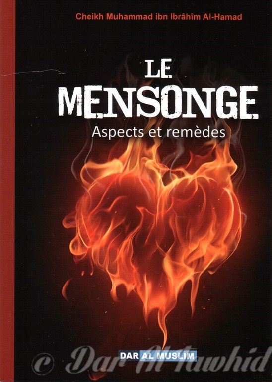 Le Mensonge Aspects & Remedes