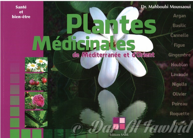 Plantes médicinales de Méditerranée et d'Orient