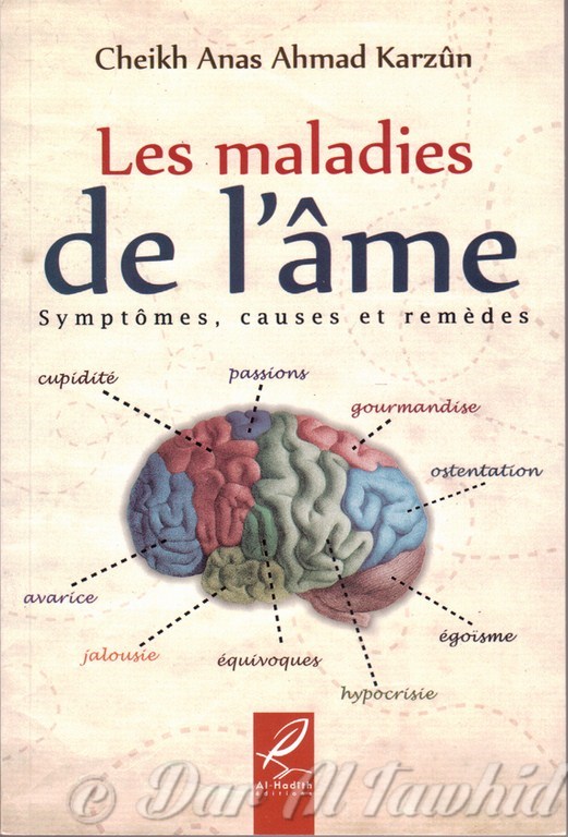 Les Maladies De L'Ame