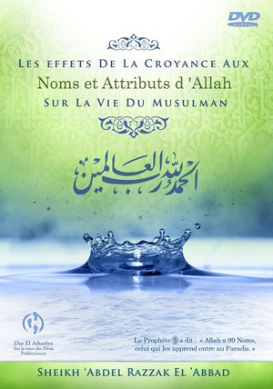 Les Effets de la croyance aux noms et attributs
